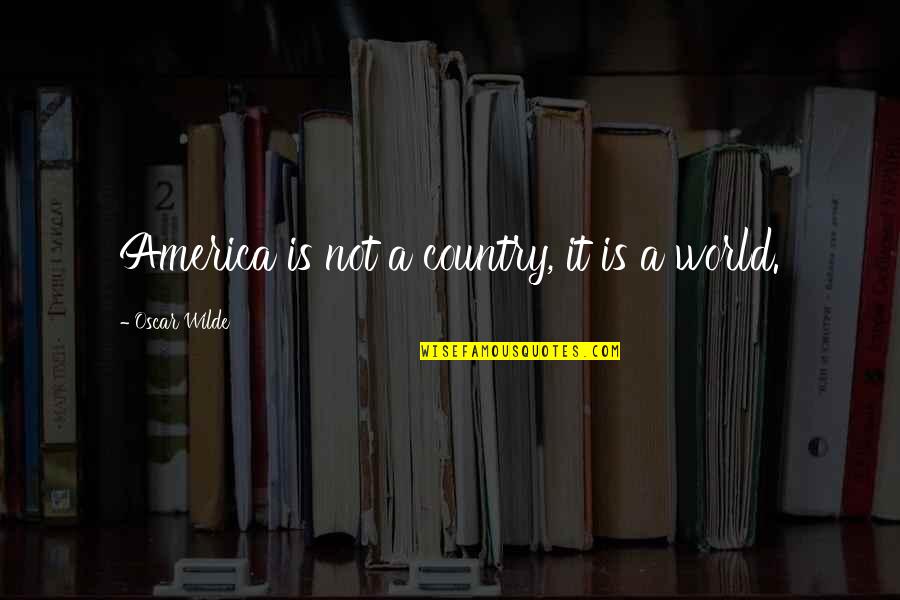 Mind Opener Quotes By Oscar Wilde: America is not a country, it is a