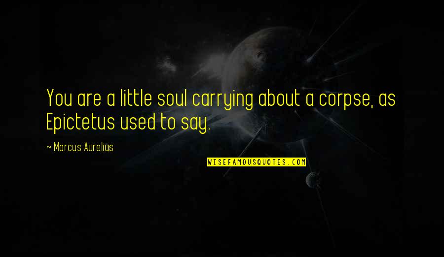 Mind Over Body Quotes By Marcus Aurelius: You are a little soul carrying about a