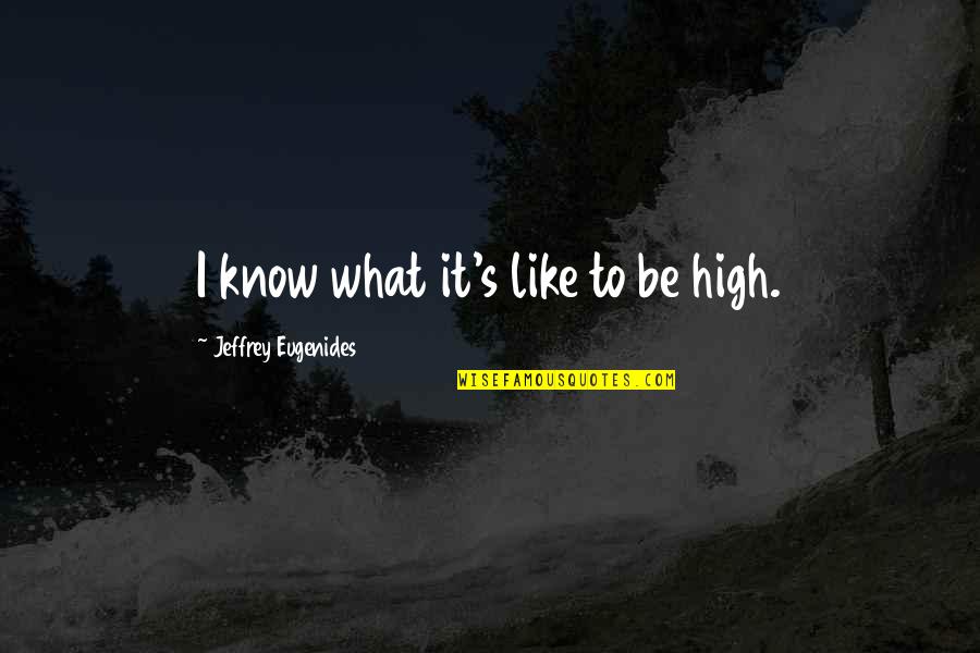 Mind Over Mood Quotes By Jeffrey Eugenides: I know what it's like to be high.