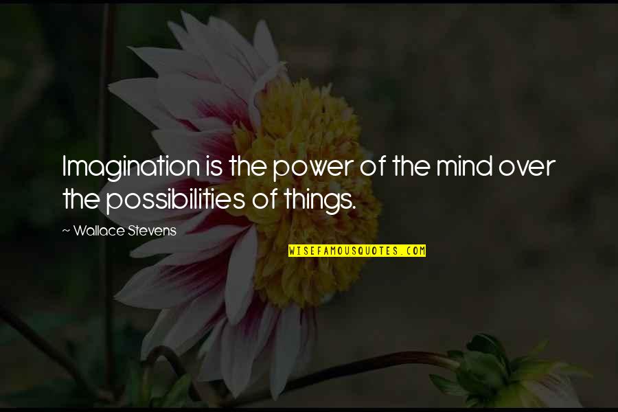 Mind Over Power Quotes By Wallace Stevens: Imagination is the power of the mind over