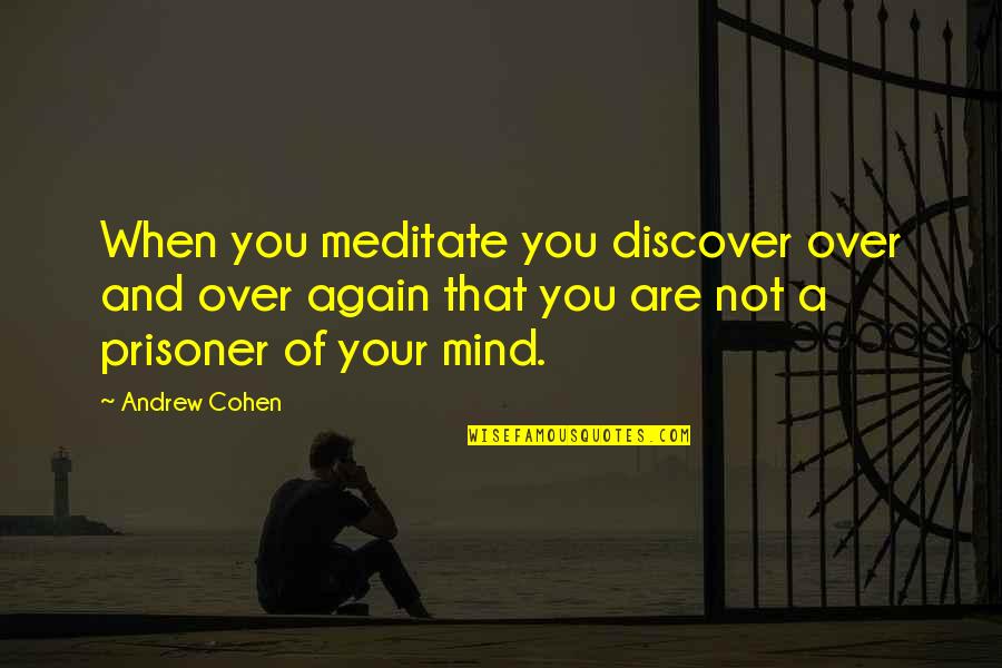 Mind Over Quotes By Andrew Cohen: When you meditate you discover over and over