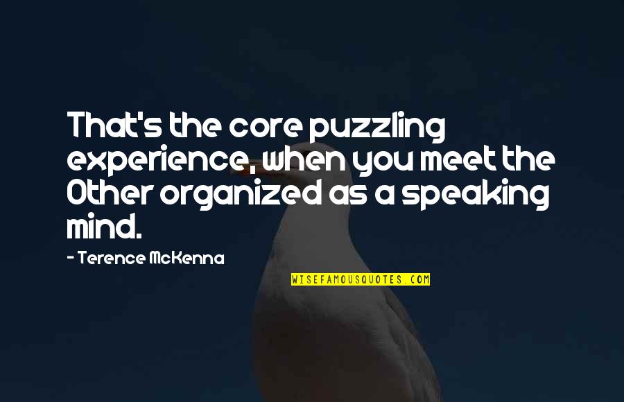 Mind Puzzling Quotes By Terence McKenna: That's the core puzzling experience, when you meet