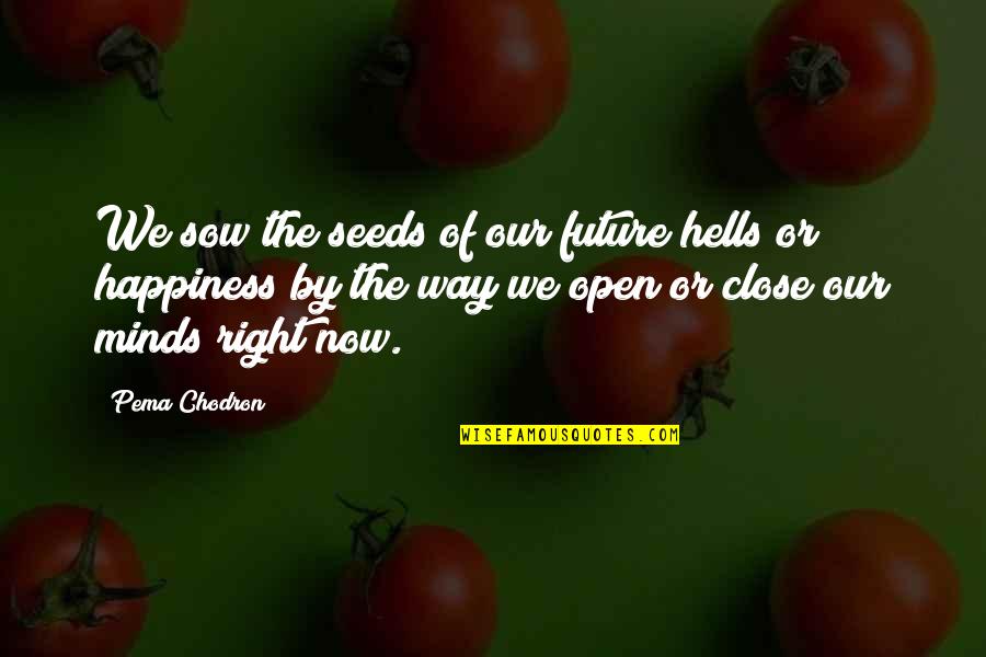 Mind Seeds Quotes By Pema Chodron: We sow the seeds of our future hells