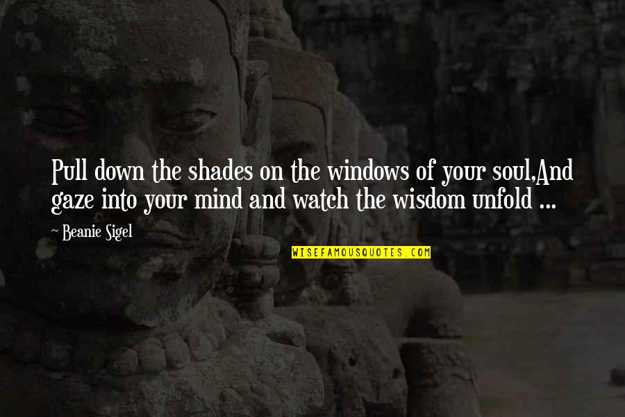 Mind Soul Quotes By Beanie Sigel: Pull down the shades on the windows of