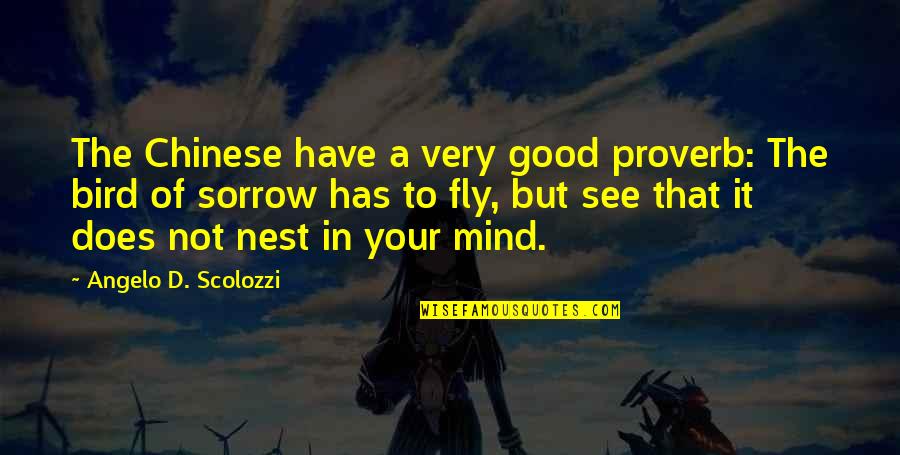 Mind That Bird Quotes By Angelo D. Scolozzi: The Chinese have a very good proverb: The
