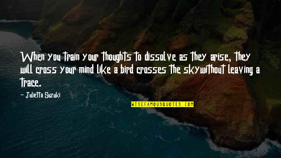 Mind That Bird Quotes By Julietta Suzuki: When you train your thoughts to dissolve as