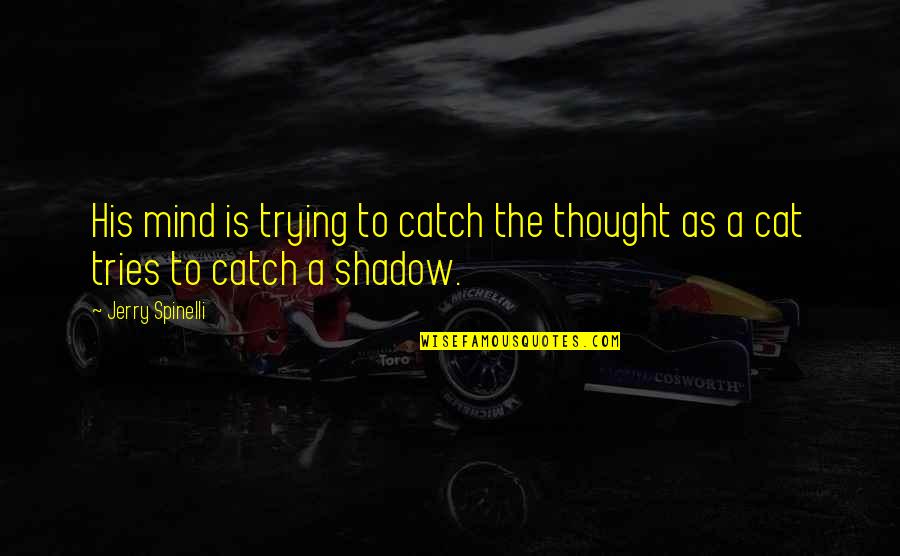 Mind Thought Quotes By Jerry Spinelli: His mind is trying to catch the thought