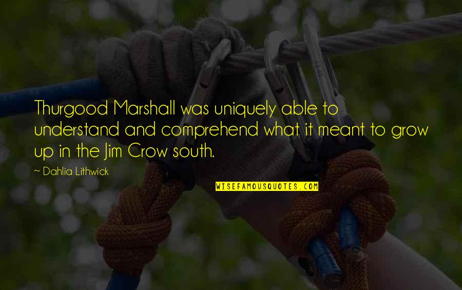 Mind Torture Quotes By Dahlia Lithwick: Thurgood Marshall was uniquely able to understand and