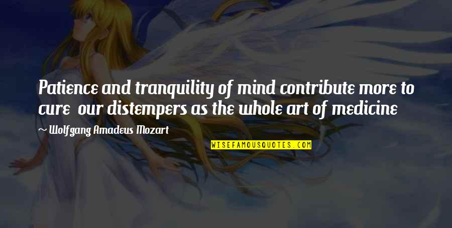 Mind Tranquility Quotes By Wolfgang Amadeus Mozart: Patience and tranquility of mind contribute more to
