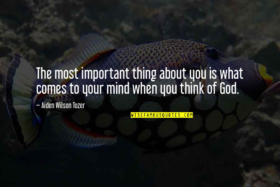 Mind What You Think Quotes By Aiden Wilson Tozer: The most important thing about you is what