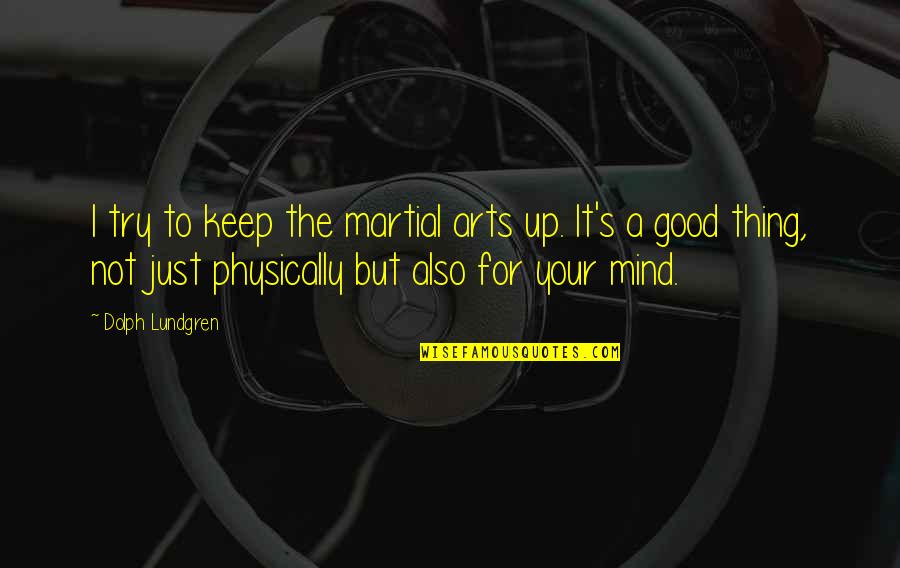 Mind Your Mind Quotes By Dolph Lundgren: I try to keep the martial arts up.