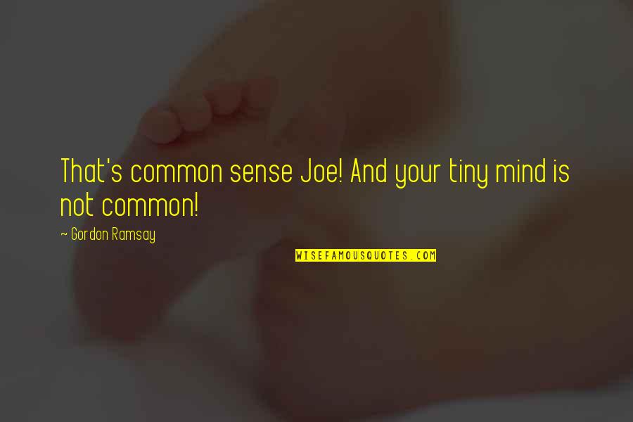 Mind Your Mind Quotes By Gordon Ramsay: That's common sense Joe! And your tiny mind