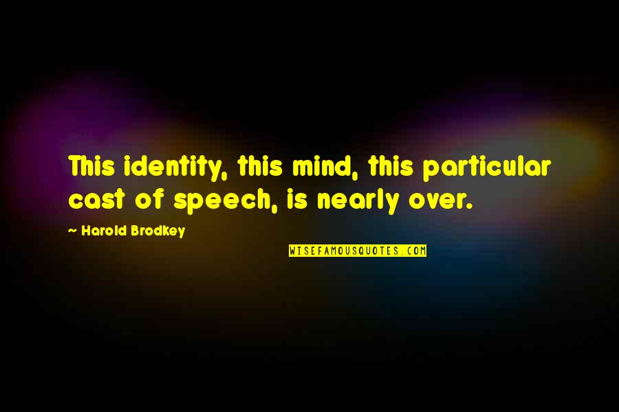 Mind Your Speech Quotes By Harold Brodkey: This identity, this mind, this particular cast of