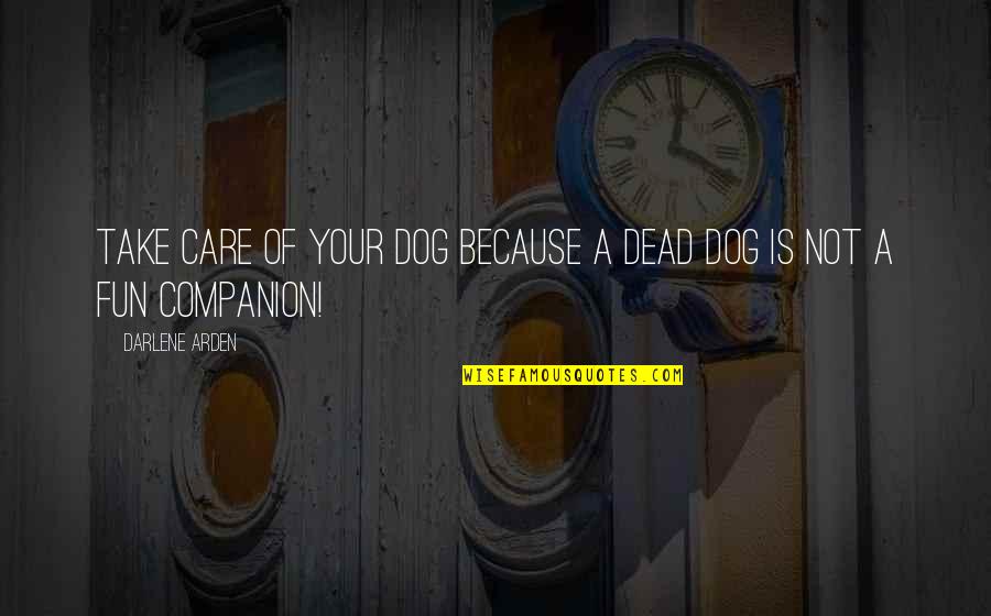 Mindbenders Palindromes Quotes By Darlene Arden: Take care of your dog because a dead