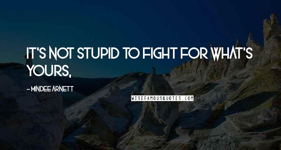 Mindee Arnett quotes: It's not stupid to fight for what's yours,