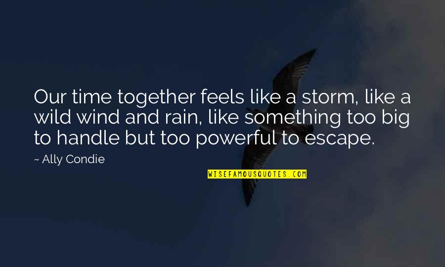 Mindetergent Quotes By Ally Condie: Our time together feels like a storm, like