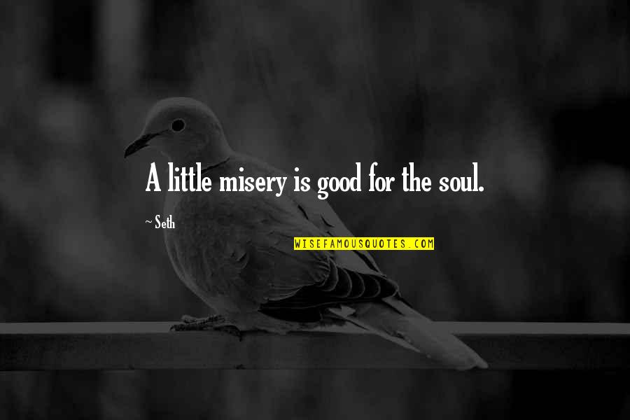 Mindful Presence Quotes By Seth: A little misery is good for the soul.
