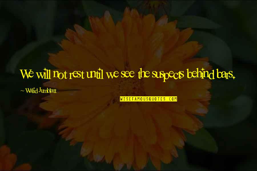 Mindfulness Walk Quotes By Walid Jumblatt: We will not rest until we see the Mindfulness Walk Quotes By Walid Jumblatt: We will not rest until we see the