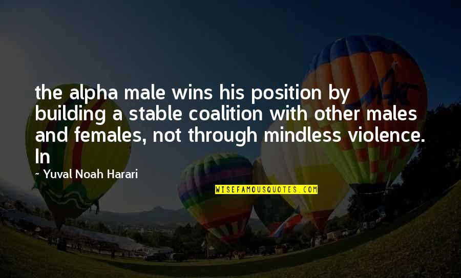 Mindless Quotes By Yuval Noah Harari: the alpha male wins his position by building Mindless Quotes By Yuval Noah Harari: the alpha male wins his position by building