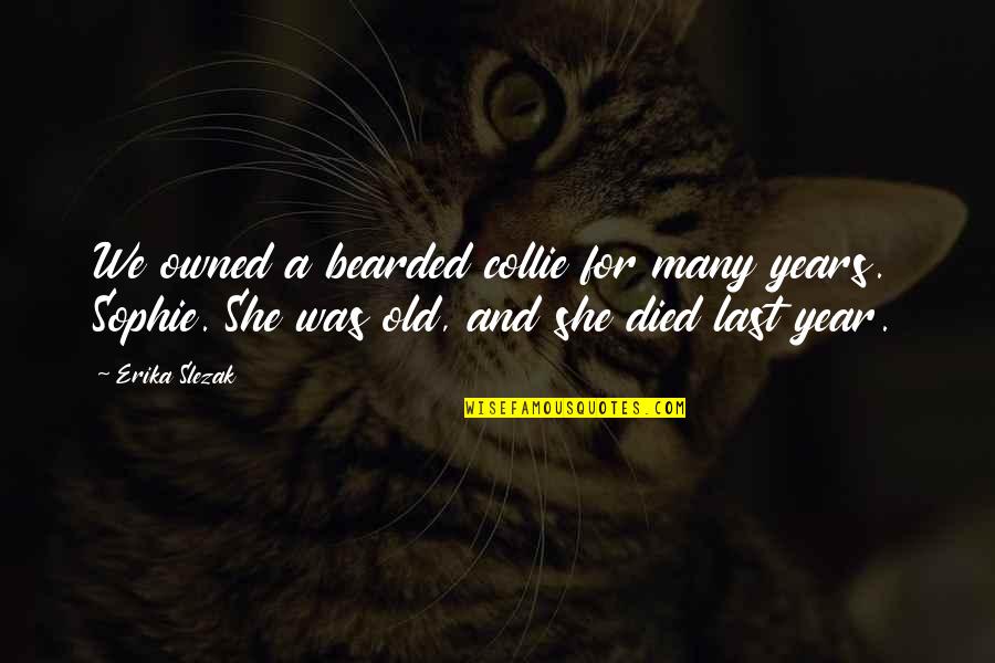 Mindlessness Quotes By Erika Slezak: We owned a bearded collie for many years. Mindlessness Quotes By Erika Slezak: We owned a bearded collie for many years.