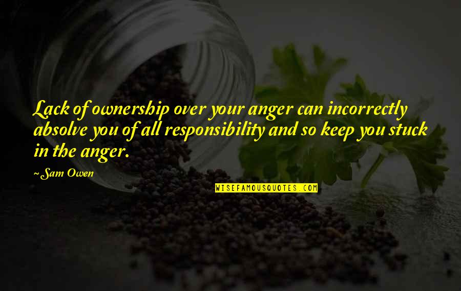 Mind's Racing Quotes Quotes By Sam Owen: Lack of ownership over your anger can incorrectly