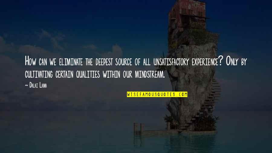 Mindstream Quotes By Dalai Lama: How can we eliminate the deepest source of