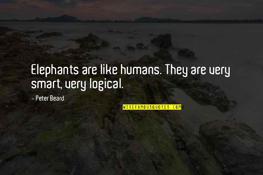 Mindware Catalog Quotes By Peter Beard: Elephants are like humans. They are very smart,