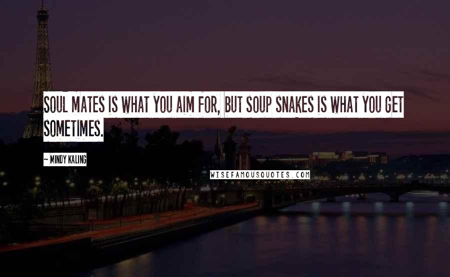 Mindy Kaling quotes: Soul mates is what you aim for, but soup snakes is what you get sometimes.