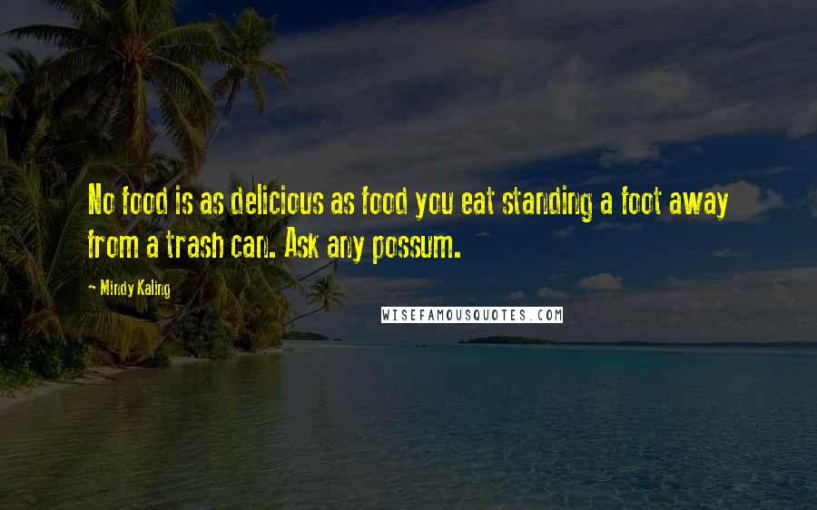 Mindy Kaling quotes: No food is as delicious as food you eat standing a foot away from a trash can. Ask any possum.