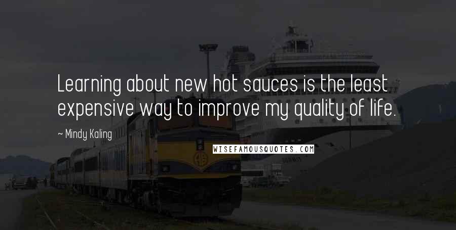 Mindy Kaling quotes: Learning about new hot sauces is the least expensive way to improve my quality of life.