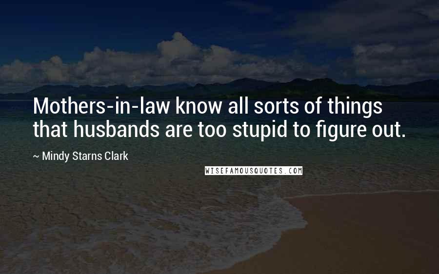 Mindy Starns Clark quotes: Mothers-in-law know all sorts of things that husbands are too stupid to figure out.