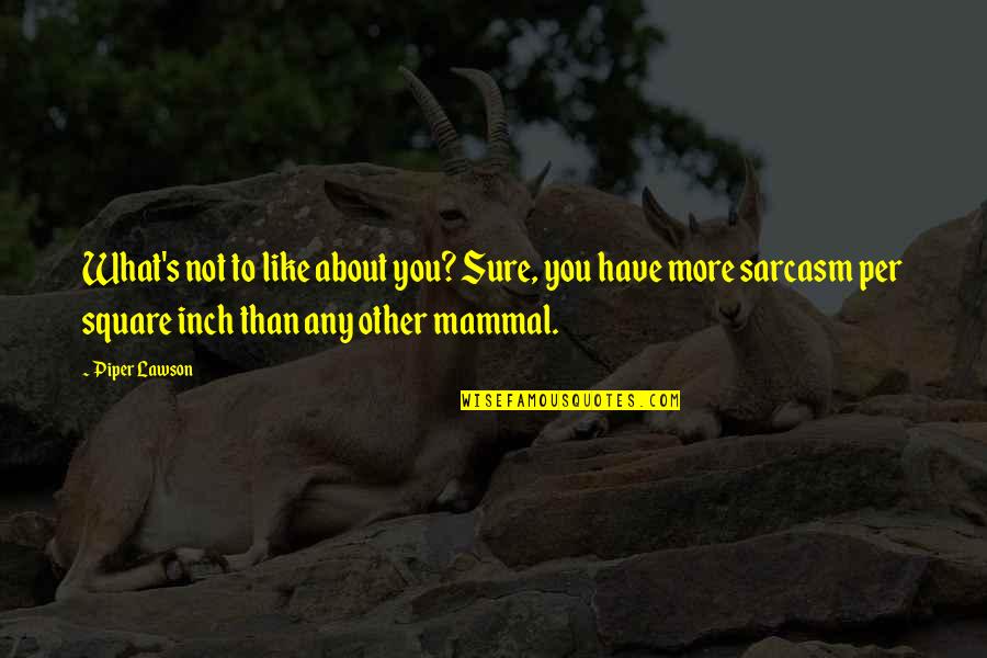 Mingaw Ko Nimo Quotes By Piper Lawson: What's not to like about you? Sure, you Mingaw Ko Nimo Quotes By Piper Lawson: What's not to like about you? Sure, you