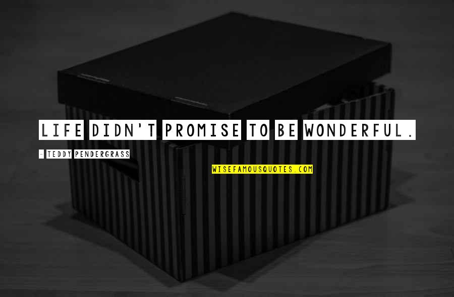 Minger Quotes By Teddy Pendergrass: Life didn't promise to be wonderful. Minger Quotes By Teddy Pendergrass: Life didn't promise to be wonderful.