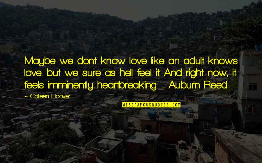 Minguado Quotes By Colleen Hoover: Maybe we don't know love like an adult Minguado Quotes By Colleen Hoover: Maybe we don't know love like an adult