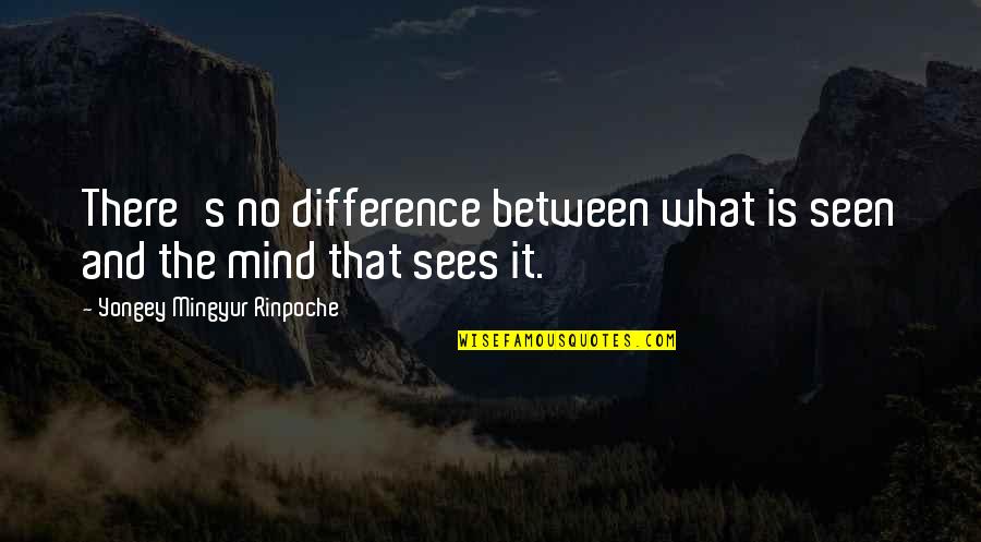 Mingyur Quotes By Yongey Mingyur Rinpoche: There's no difference between what is seen and Mingyur Quotes By Yongey Mingyur Rinpoche: There's no difference between what is seen and