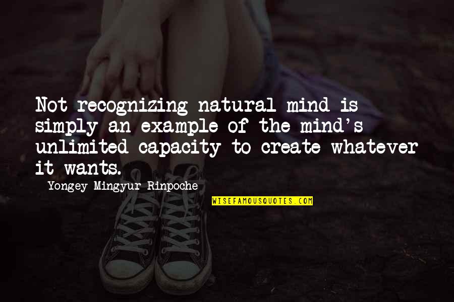 Mingyur Rinpoche Quotes By Yongey Mingyur Rinpoche: Not recognizing natural mind is simply an example