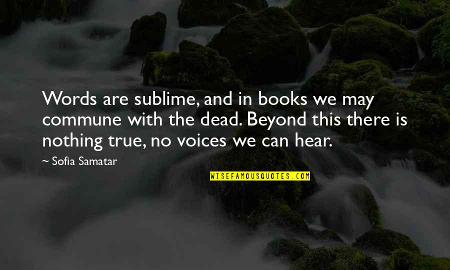 Minhaj Books Quotes By Sofia Samatar: Words are sublime, and in books we may