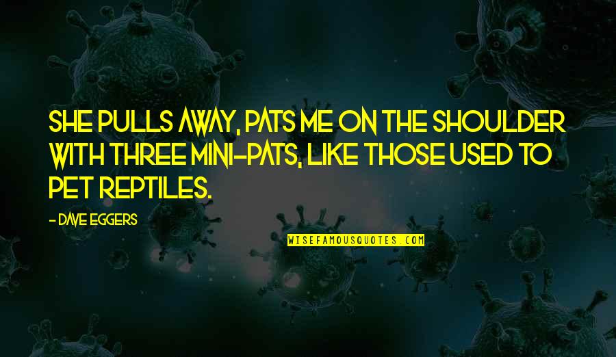 Mini Quotes By Dave Eggers: She pulls away, pats me on the shoulder Mini Quotes By Dave Eggers: She pulls away, pats me on the shoulder