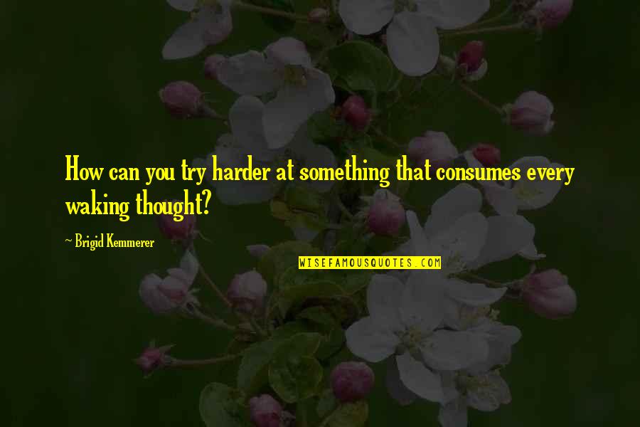 Miniaturise Quotes By Brigid Kemmerer: How can you try harder at something that