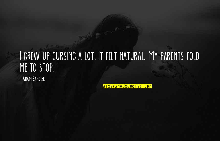 Minichat Quotes By Adam Sandler: I grew up cursing a lot. It felt