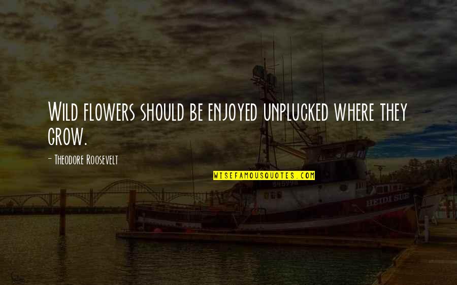 Minikani Quotes By Theodore Roosevelt: Wild flowers should be enjoyed unplucked where they Minikani Quotes By Theodore Roosevelt: Wild flowers should be enjoyed unplucked where they