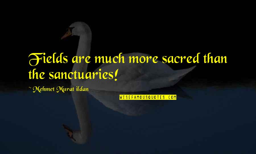 Minimized Quotes By Mehmet Murat Ildan: Fields are much more sacred than the sanctuaries!