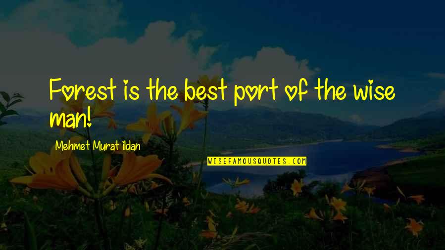 Minimum Core Quotes By Mehmet Murat Ildan: Forest is the best port of the wise