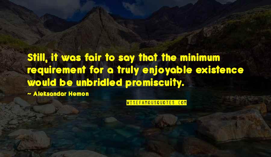 Minimum Requirement Quotes By Aleksandar Hemon: Still, it was fair to say that the