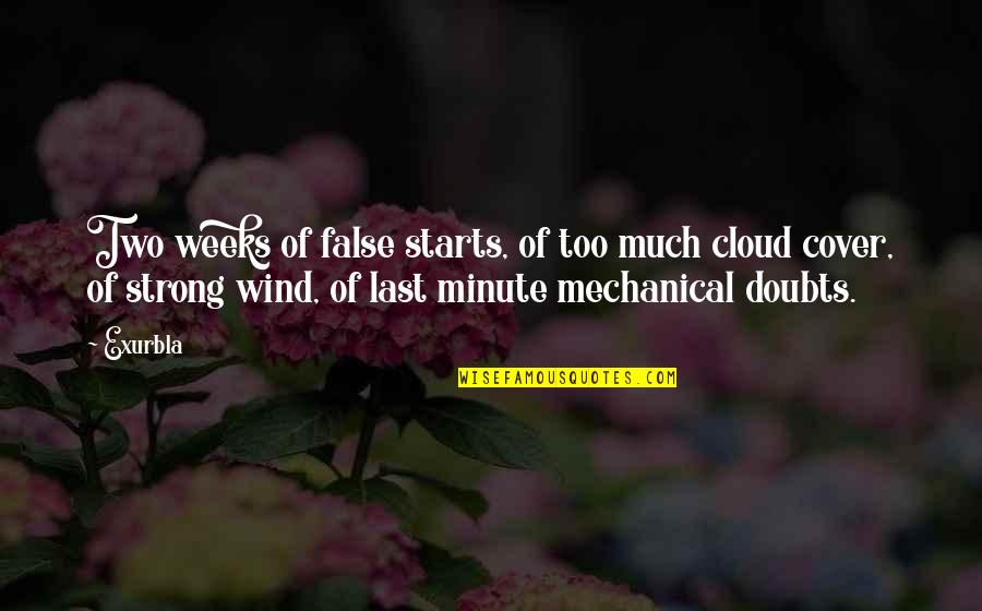 Minion Toy Quotes By Exurb1a: Two weeks of false starts, of too much