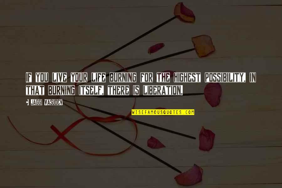 Minjing Quotes By Jaggi Vasudev: If you live your life burning for the