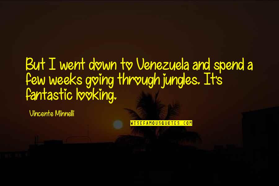 Minnelli Quotes By Vincente Minnelli: But I went down to Venezuela and spend Minnelli Quotes By Vincente Minnelli: But I went down to Venezuela and spend