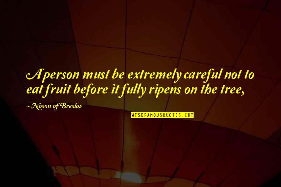 Minnevikingssota Quotes By Noson Of Breslov: A person must be extremely careful not to Minnevikingssota Quotes By Noson Of Breslov: A person must be extremely careful not to