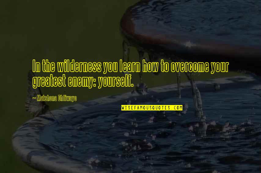 Minnie And Moskowitz Quotes By Matshona Dhliwayo: In the wilderness you learn how to overcome