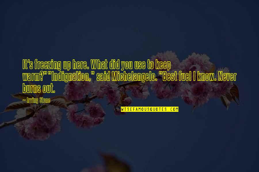 Minnie Pursling Quotes By Irving Stone: It's freezing up here. What did you use Minnie Pursling Quotes By Irving Stone: It's freezing up here. What did you use